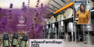 ETHELEO: Η επένδυση της Οικογένειας Λαζαρίδη δείχνει το δρόμο –  Πως μια κάθετη μονάδα στην Αναρράχη Εορδαίας δίνει υπεραξία στα Αρωματικά Φυτά και αξία στον τόπο – Η πρόσκληση της E. Λαζαρίδου στο #Openfarmdays 2021
