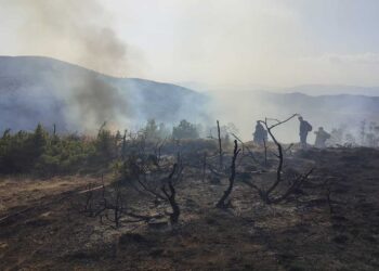 Τέθηκε υπό πλήρη έλεγχο η φωτιά στο Μεσόβουνο