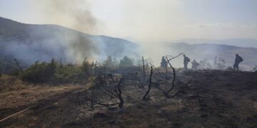 Τέθηκε υπό πλήρη έλεγχο η φωτιά στο Μεσόβουνο