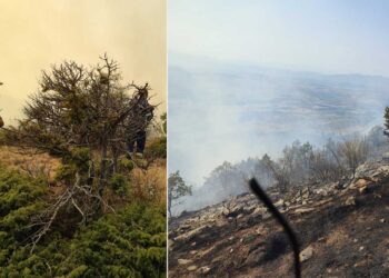 Canadair επιχειρούν ρίψεις νερού στη φωτιά στο Μεσόβουνο – Επιχειρεί η Πυροσβεστική (φωτο-video)
