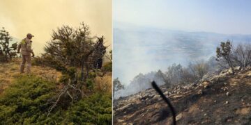 Canadair επιχειρούν ρίψεις νερού στη φωτιά στο Μεσόβουνο – Επιχειρεί η Πυροσβεστική (φωτο-video)