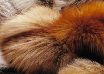 Ελληνική Ομοσπονδία Γούνας: Εκδόθηκε η απόφαση απαλλαγής από το ΦΠΑ