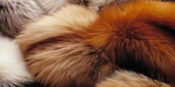 Ελληνική Ομοσπονδία Γούνας: Εκδόθηκε η απόφαση απαλλαγής από το ΦΠΑ