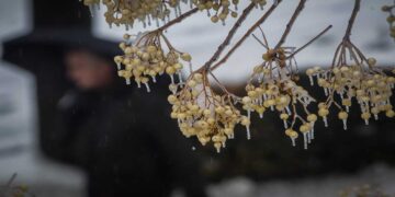 Οι πρώτες χαμηλές θερμοκρασίες για την Δυτική Μακεδονία έφτασαν- -1,4 στην Βλάστη και 0.4 στον Νέο Καύκασο