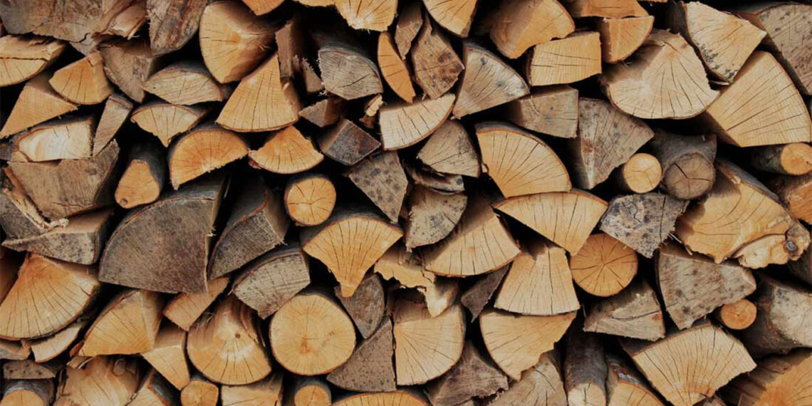 Καυσόξυλα για τον χειμώνα που έρχεται