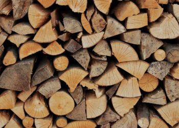 Καυσόξυλα για τον χειμώνα που έρχεται