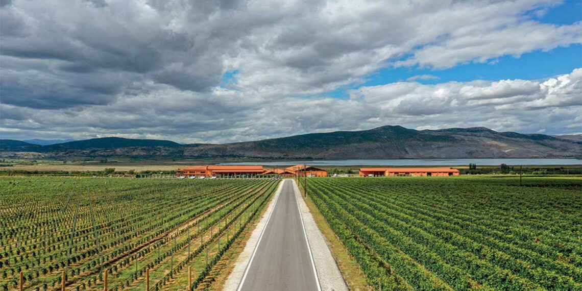 Το Κτήμα Άλφα στο Αμύνταιο στη λίστα του περιοδικού Wine & Spirits με τα καλύτερα κρασιά του κόσμου