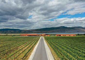 Το Κτήμα Άλφα στο Αμύνταιο στη λίστα του περιοδικού Wine & Spirits με τα καλύτερα κρασιά του κόσμου