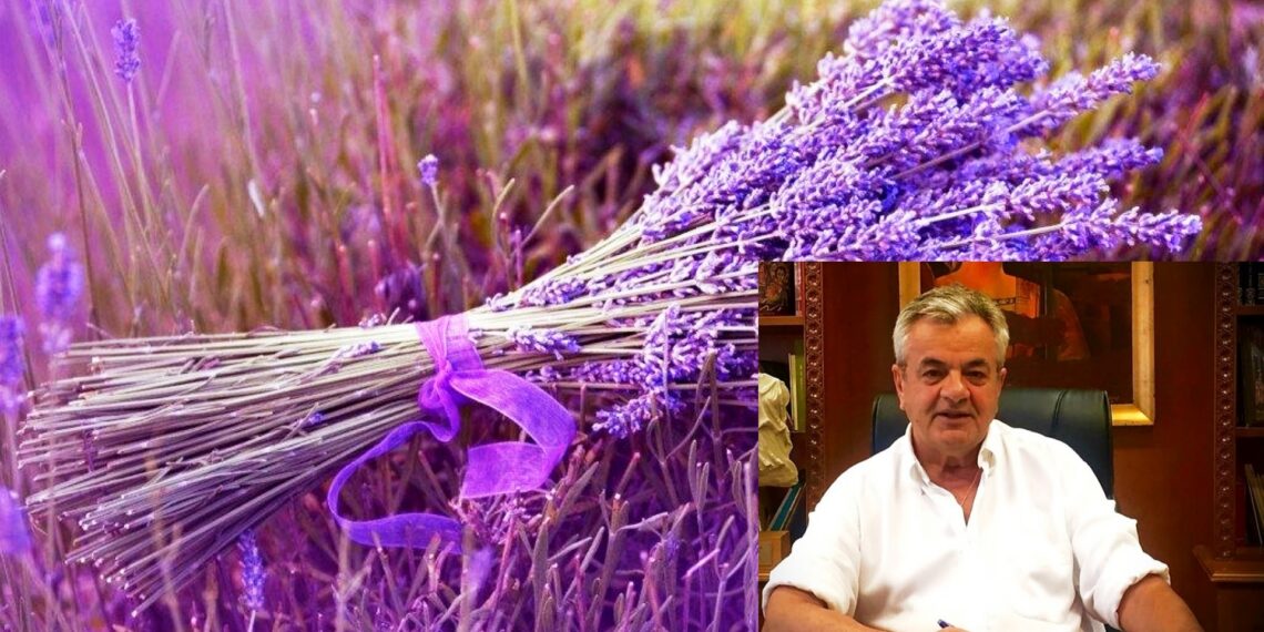 Π.Ε. Κοζάνης: Έρευνα αξιοποίησης αιθέριου ελαίου και ανθόνερου λεβάντας και ρίγανης