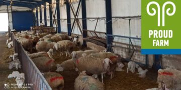 Επανάσταση στην Κτηνοτροφία από τους «Περήφανους Κτηνοτρόφους» του Αγ. Δημητρίου Κοζάνης – Ο “άνεργος της Αθήνας” ήταν μόνο η αρχή