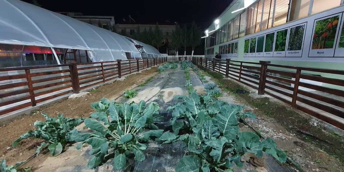 Πρότυπο Θερμοκήπιο Εορδαίας στο 1ο Επαγγελματικό Λύκειο Πτολεμαΐδας -VIDEO