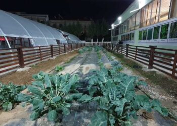 Πρότυπο Θερμοκήπιο Εορδαίας στο 1ο Επαγγελματικό Λύκειο Πτολεμαΐδας -VIDEO