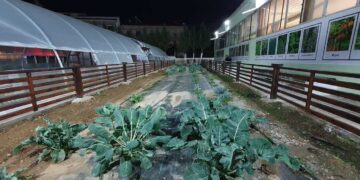 Πρότυπο Θερμοκήπιο Εορδαίας στο 1ο Επαγγελματικό Λύκειο Πτολεμαΐδας -VIDEO