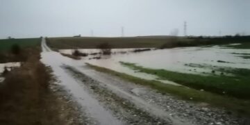 Πλημμύρισαν αγροτεμάχια εξαιτίας της έντονης βροχόπτωσης στο Καρπερό Γρεβενών (φώτο-βίντεο)