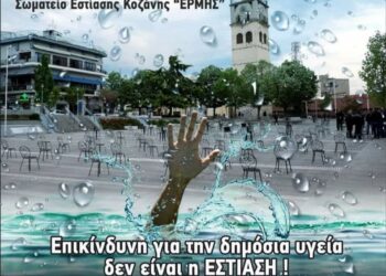 Ι. Μπασίνας (πρ. Σωματείου Εστίασης Κοζάνης) “Όπως διαπιστωσαμε σήμερα από ένα τυχαίο λάθος, ότι μπορούν να δίνουν και ψευδή στοιχεία χωρίς να σκέφτονται και να σέβονται τον κόπο και τον ιδρώτα των ελεύθερων επαγγελματιών και των ανθρώπων”