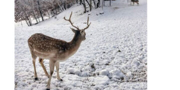 Μια ευχάριστη επίσκεψη στους χιονισμένους Μαυραναίους Γρεβενών