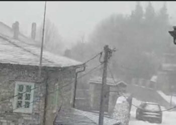 Χιονίζει στο Νυμφαίο Φλώρινας -VIDEO