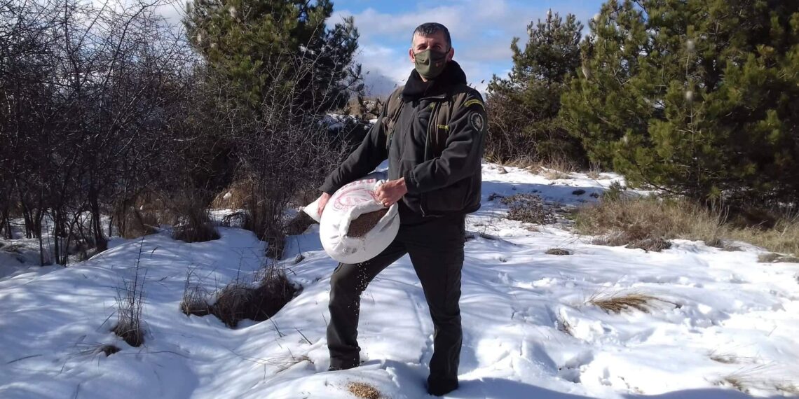 Κυνηγετικός Σύλλογος Εορδαίας: Ρίψη τροφής για τα είδη της άγριας ζωής