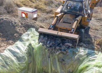 Δυτική Μακεδονία: Βρέθηκαν οι ίδιες μεταλλάξεις κορονοϊού σε ανθρώπους και μινκ