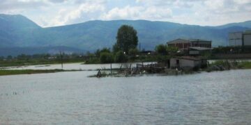 Τις πλημμυρισμένες περιοχές του κάμπου της Δυτικής Εορδαίας επισκέφθηκε ο Αντιπεριφερειάρχης Π.Ε. Κοζάνης Γρηγόρης Τσιούμαρης