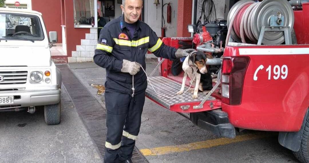 Πολύωρη επιχείρηση διάσωσης σκυλίτσας που είχε πέσει σε πηγάδι 20 μέτρων στο Χρώμιο