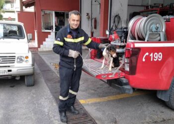 Πολύωρη επιχείρηση διάσωσης σκυλίτσας που είχε πέσει σε πηγάδι 20 μέτρων στο Χρώμιο