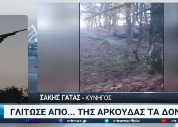 Κοζάνη: Τι λέει στην ΕΡΤ ο κυνηγός που γλίτωσε από τα δόντια της αρκούδας -VIDEO