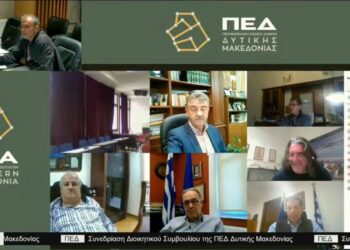 Κοινή γραμμή της ΠΕΔ Δυτικής Μακεδονίας για τη ΔΕΗ- Η διαφωνία Ιωαννίδη