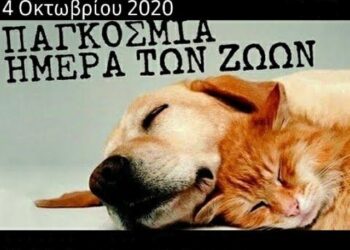 4 Οκτωβρίου 2021 , Παγκόσμια Ημέρα των Ζώων! (της Κούλας Πουλασιχίδου)