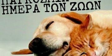 4 Οκτωβρίου 2021 , Παγκόσμια Ημέρα των Ζώων! (της Κούλας Πουλασιχίδου)
