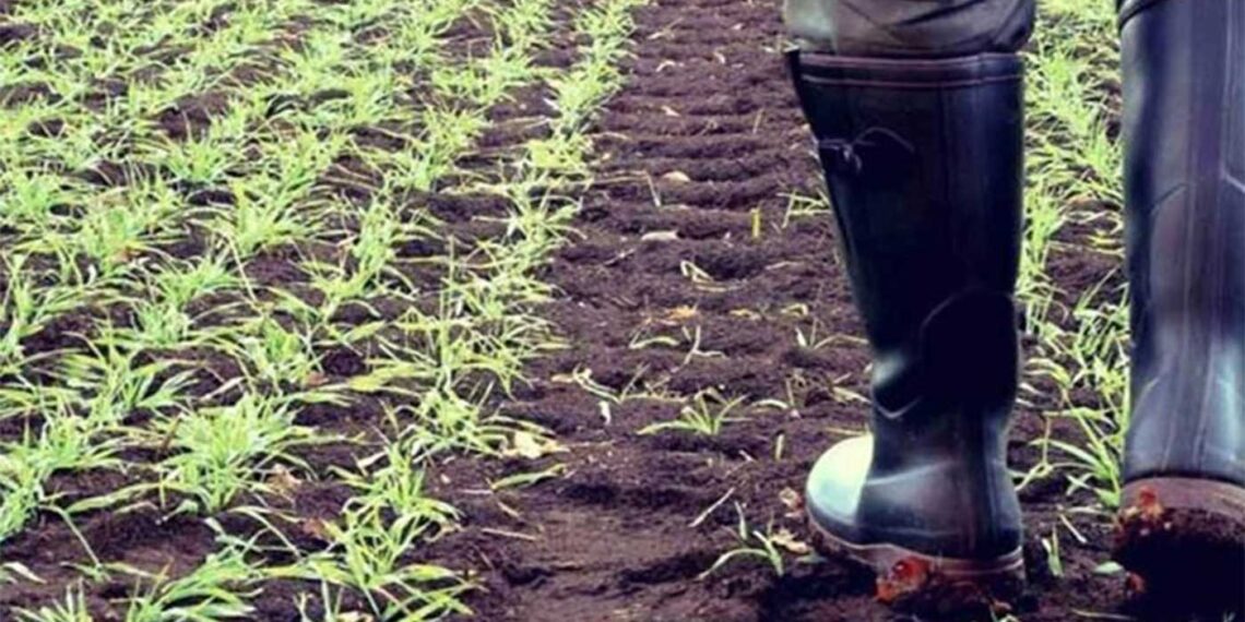 ΥΠΑΑΤ: Πληρωμές 633.434.763 εκατ. ευρώ στους αγρότες – Προκαταβολή (70%) της Βασικής Ενίσχυσης του 2021 από τον ΟΠΕΚΕΠΕ