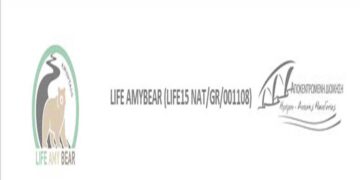Επιμορφωτικό σεμινάριο του έργου LIFE AMYBEAR στη Βλάστη Κοζάνης
