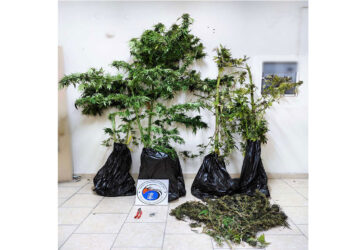 Εορδαία: Σύλληψη 56χρονου για καλλιέργεια 4 δενδρυλλίων κάνναβης και κατοχή ναρκωτικών ουσιών