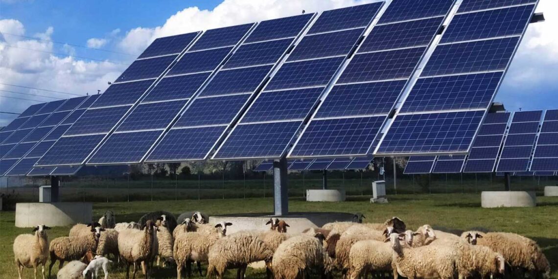Φωτοβολταϊκά και κτηνοτροφία – Γράφει ο Κων/νος Χ. Γκαράκης