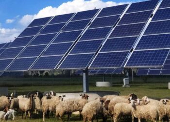 Φωτοβολταϊκά και κτηνοτροφία – Γράφει ο Κων/νος Χ. Γκαράκης