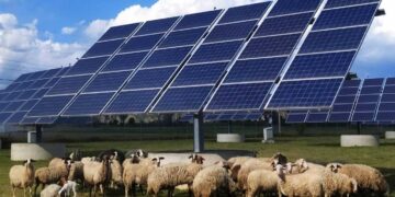 Φωτοβολταϊκά και κτηνοτροφία – Γράφει ο Κων/νος Χ. Γκαράκης