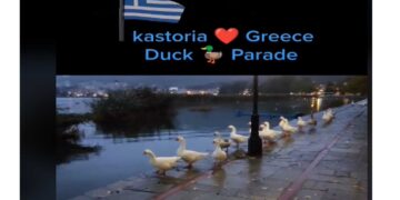 VIRAL βιντεάκι Καστοριανού στο Tik Tok με τις χήνες να κάνουν …παρέλαση στη λίμνη της Καστοριάς!