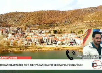 Καστοριά: Πώς έφτασε η Αστυνομία στη σύλληψη των δραστών της κλοπής