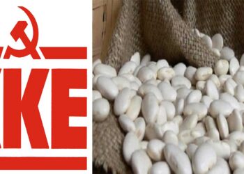 Να αποζημιωθούν στο 100% της καταστροφής οι παραγωγοί φασολιών της  Πρέσπας σε Φλώρινα και Καστοριά