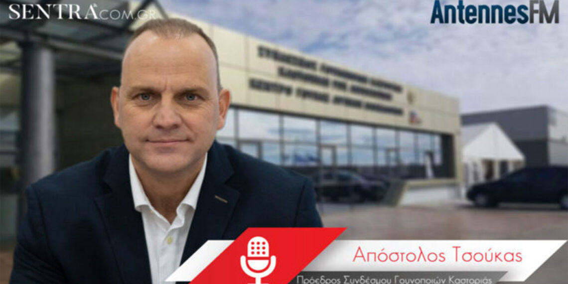 Κλοπή σε γουναράδικο στο Δισπηλιό – Άκης Τσούκας: «Το σοκ είναι μεγάλο»