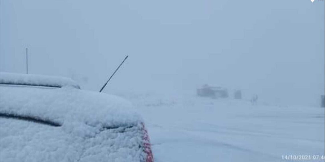 Ο χιονιάς ήρθε και στο χιονδρονικό κέντρο Βασιλίτσας δημιουργώντας μια όμορφη εικόνα