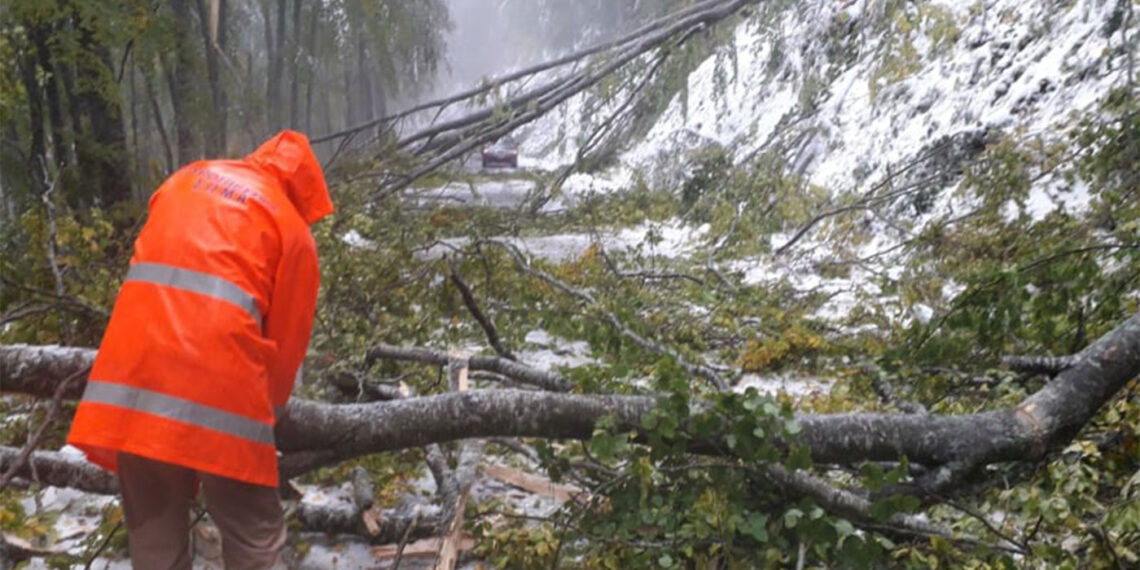 Μπάλλος: Έπεσαν δέντρα στο Βίτσι – Οδηγός απεγκλωβίστηκε από την Πυροσβεστική (εικόνες)