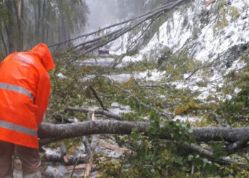 Μπάλλος: Έπεσαν δέντρα στο Βίτσι – Οδηγός απεγκλωβίστηκε από την Πυροσβεστική (εικόνες)