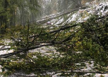 Ο οδηγός που απεγκλωβίστηκε από την Πυροσβεστική στο Βίτσι για την περιπέτειά του: “Έπεφταν συνεχώς μεγάλα κλαδιά δέντρων”- “Ευχαριστώ” στην πυροσβεστική