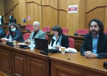 Προσφυγή Ζεμπιλιάδου για 7 πράξεις περιβαλλοντικών όρων κατά της ΔΕΗ- Επόμενο βήμα το Συμβούλιο της Επικρατείας: «Ο Περιφερειάρχης πρότεινε απραξία…»