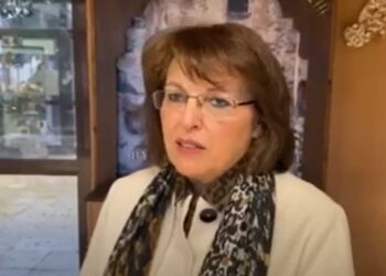 Ζεμπιλιάδου: “Η ΔΕΗ κάνει μια μεγάλη έξοδο από τη Δ. Μακεδονία χωρίς να τηρήσει καμία δέσμευση”