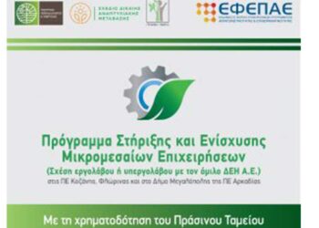 ΑΝΚΟ: Προκήρυξη της Δράσης «Πρόγραμμα Στήριξης και Ενίσχυσης Μικρομεσαίων Επιχειρήσεων στις ΠΕ Φλώρινας, Κοζάνης» του Πράσινου Ταμείου και σημεία ενημέρωσης υποψηφίων επενδυτών