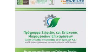 ANKO: Πρόγραμμα Στήριξης και Ενίσχυσης Μικρομεσαίων Επιχειρήσεων στις ΠΕ Φλώρινας, Κοζάνης και στο Δήμο Μεγαλόπολης της ΠΕ Αρκαδίας» του Πράσινου Ταμείου 