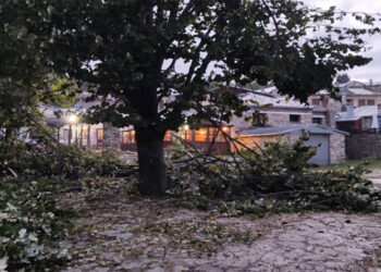 Νυμφαίο: Μισο – αποκλεισμένο από πτώσεις δέντρων / Εκτεταμένες ζημιές στον Αρκτούρο (Pics)