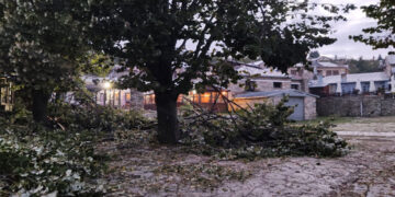 Νυμφαίο: Μισο – αποκλεισμένο από πτώσεις δέντρων / Εκτεταμένες ζημιές στον Αρκτούρο (Pics)